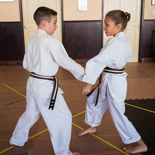 Young adult karate program in Saugerties